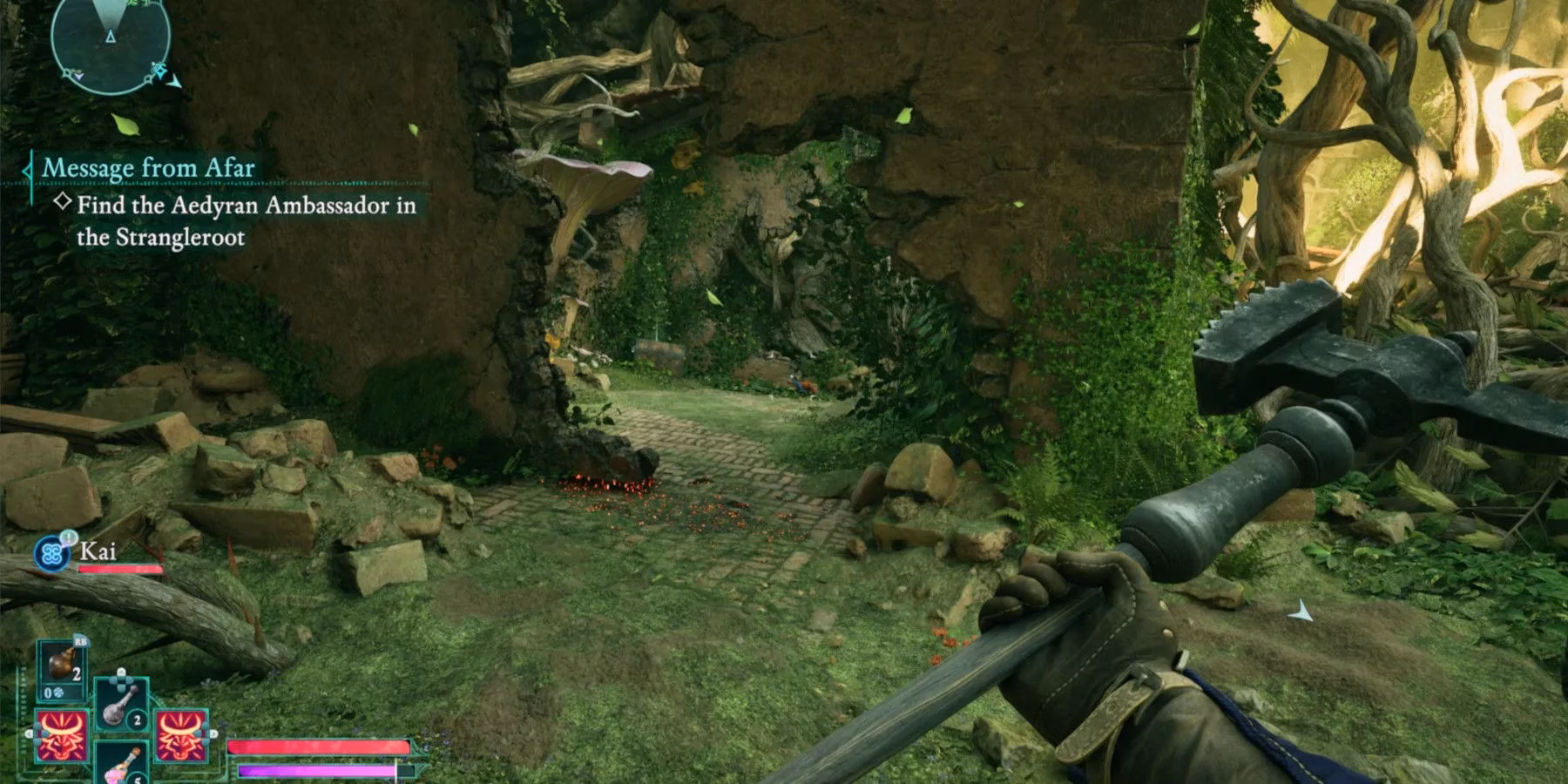 avowed-s-second-quest-a-guide-to-surviving-strangleroot-and-snagging-the-unflinching-duty-shield-image-2